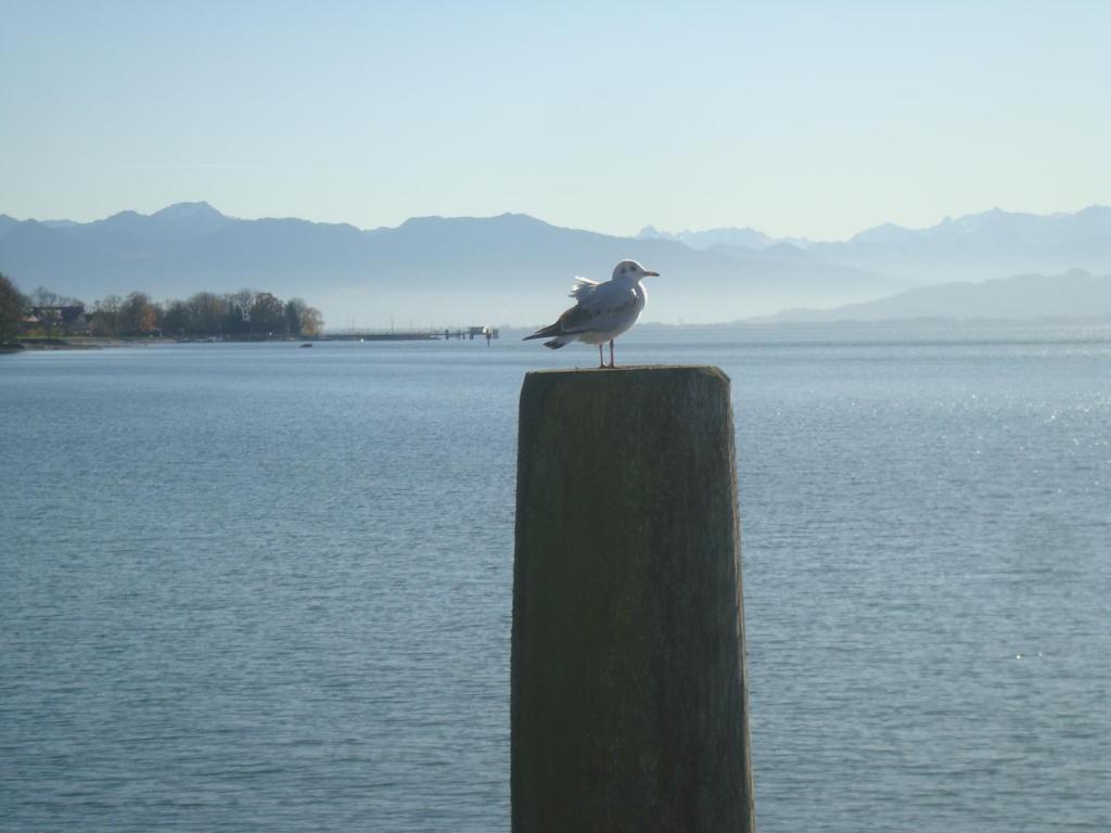 Seehotel Kressbronn Kressbronn am Bodensee Zewnętrze zdjęcie